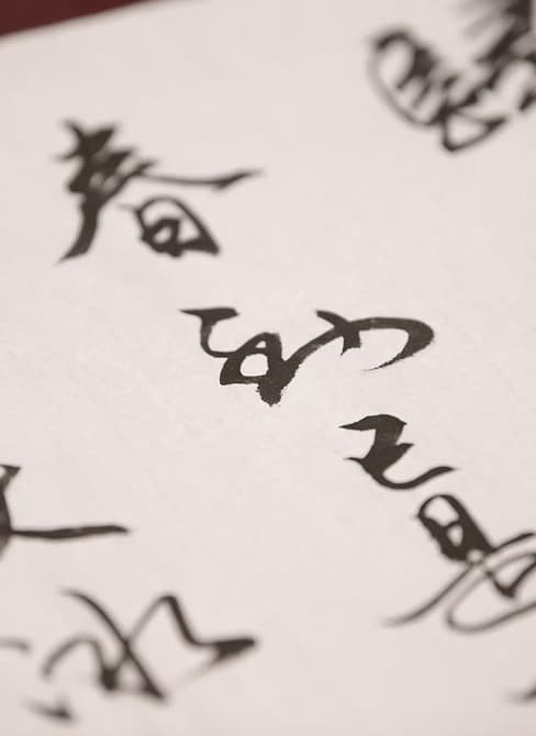 Life Management and Transformation
